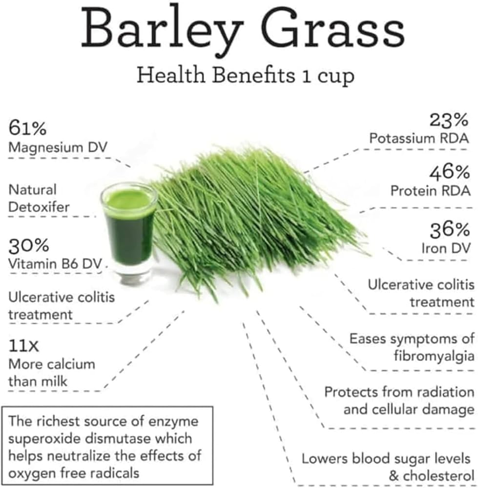 Honest to Goodness Barley Grass Powder 1kg