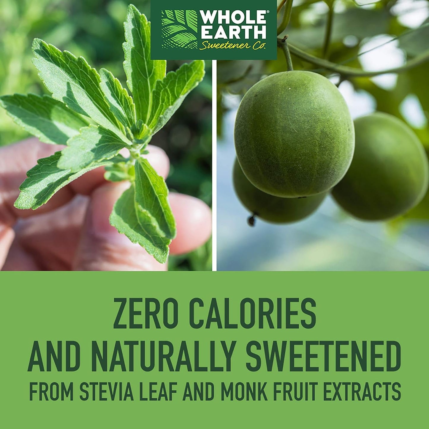 Whole Earth Stevia Leaf & Monk Fruit 48ml