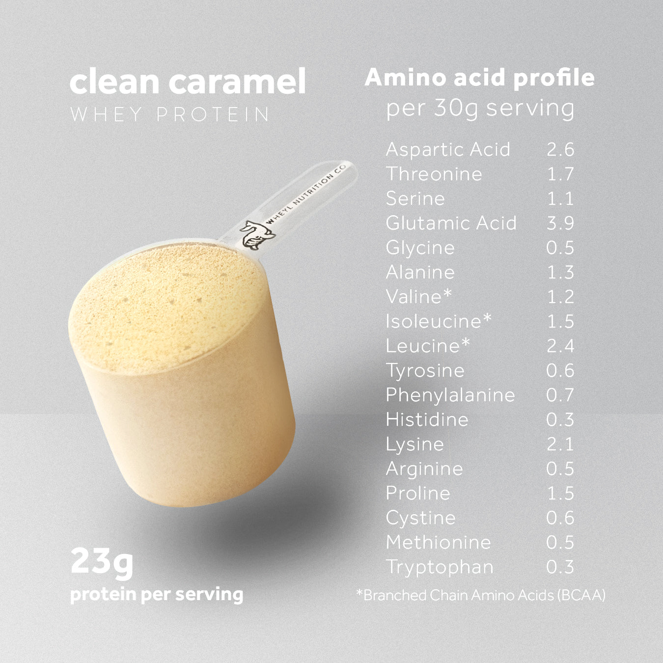 Wheyl Nutrition Just Clean Caramel Whey Protein 454g