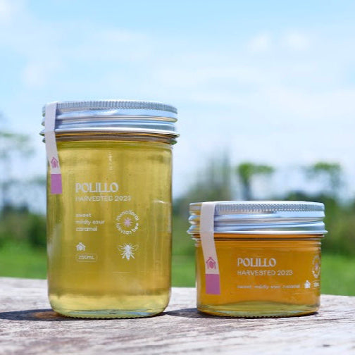 Kubo Honey Polilio