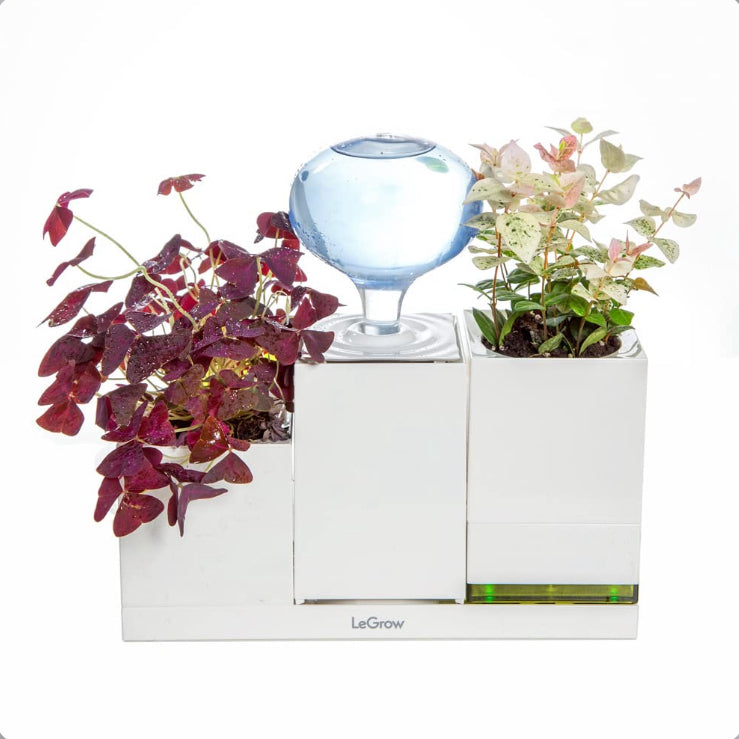 LeGrow Humidifier for Indoor Plants
