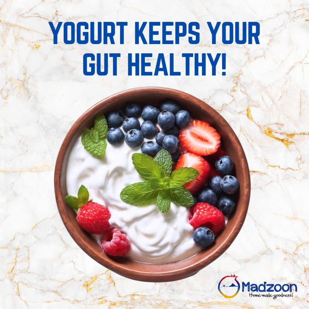 Madzoon Homemade Greek Yogurt