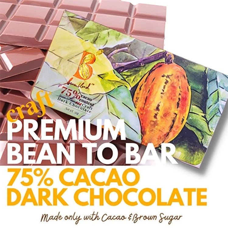 Ben's Blend 75% Cacao Dark Chocolate 50g