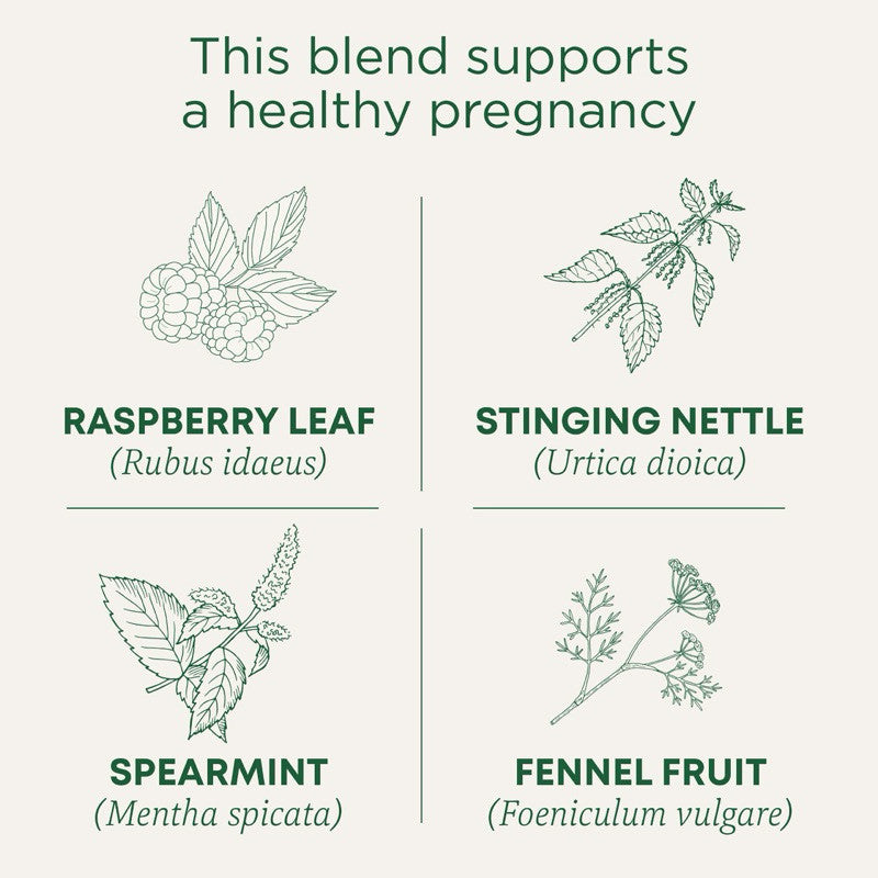 Traditional Medicinals Organic Pregnancy Tea, Raspberry Leaf - 16 Tea Bags