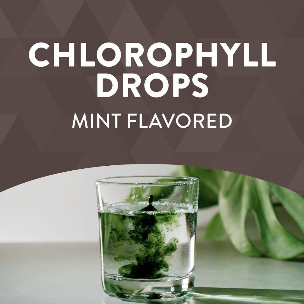 Nature's Way Chlorofresh Chlorophyll Drops Mint 59 ml