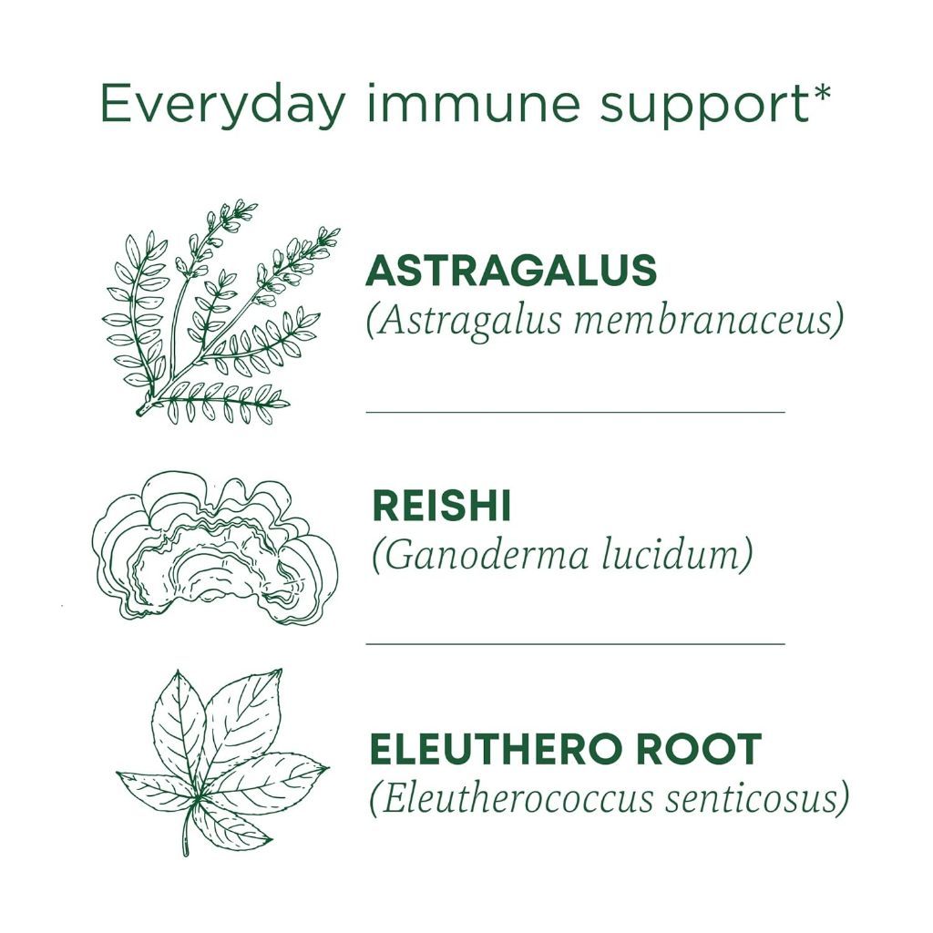 Traditional Medicinals Organic Stress Ease Immune 28g