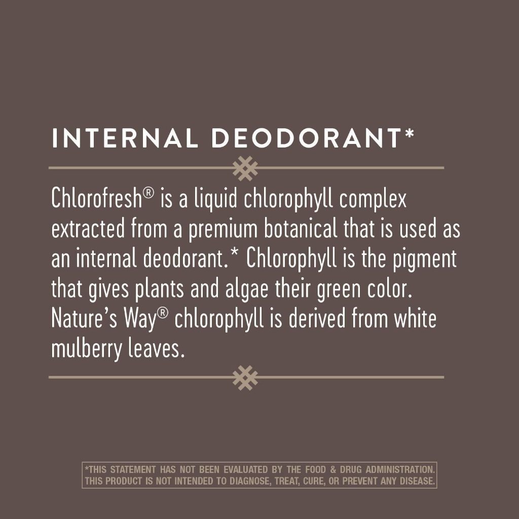 Nature's Way Chlorofresh Chlorophyll Drops Mint 59 ml
