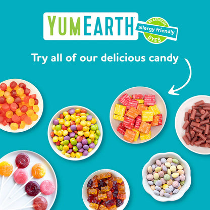 YumEarth Organic Fruit Hard Candies 93.6g