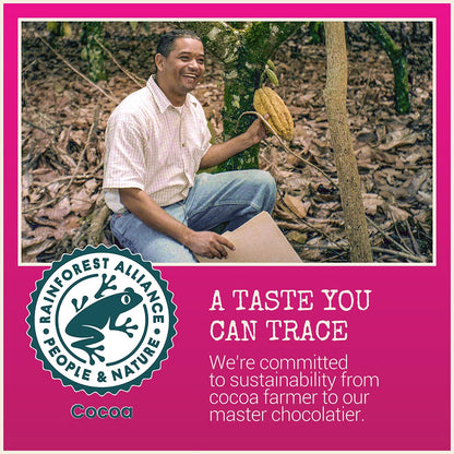 Chocolove Raspberries in Dark Chocolate 88g