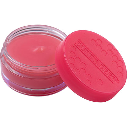 Burt's Bees Lip Mask Treatments Set
