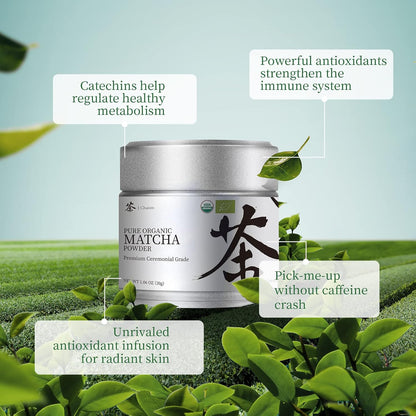 Chaism Pure Organic Ceremonial Grade Matcha Powder 30g