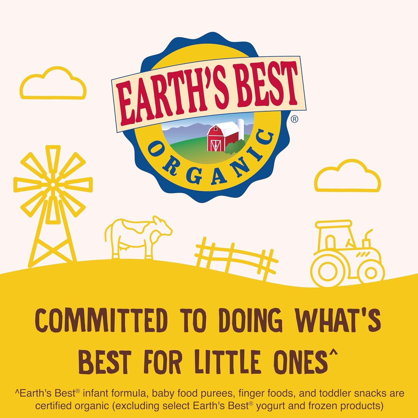 Earth's Best Oatmeal Cinnamon Organic Letter of the Day Cookies 150g