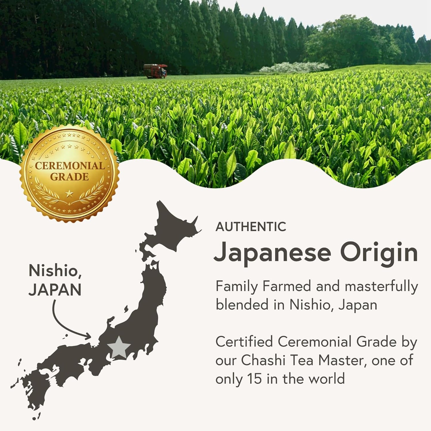 Matchabar Ceremonial Grade Matcha Powder 30g