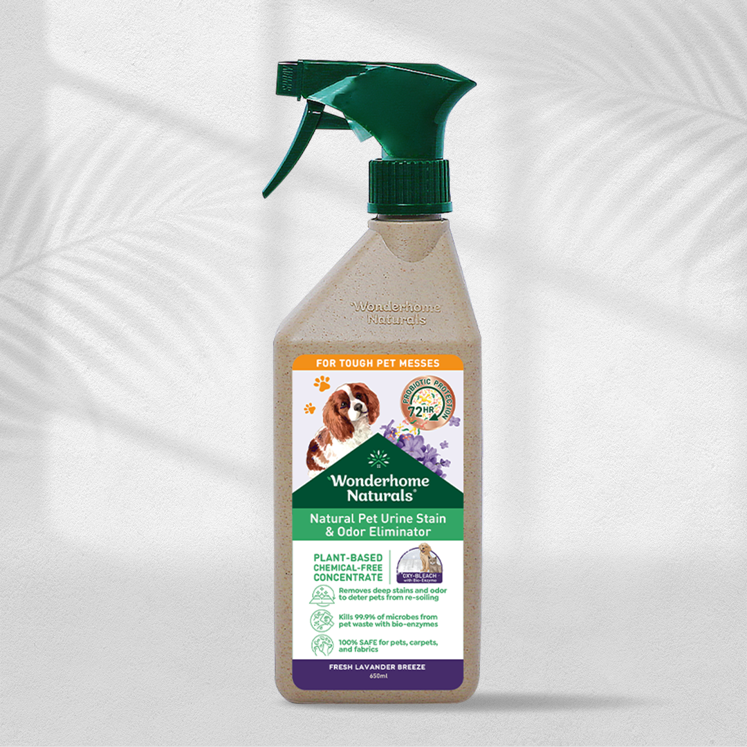 Wonderhome Naturals Lavender Pet Urine & Odor Eliminator 650ml