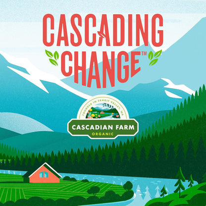 Cascadian Farm Organic Cinnamon Crunch Cereal 260g