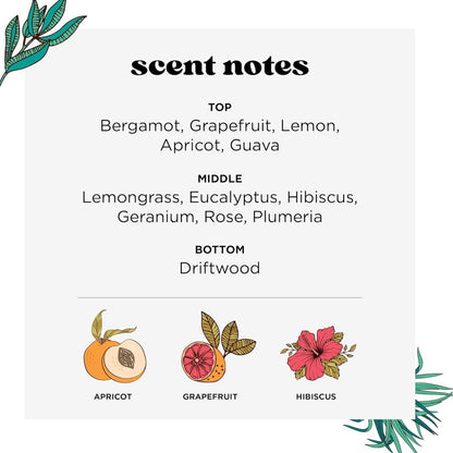 Poo-Pourri Tropical Hibiscus Toilet Spray 30ml