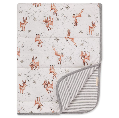 Burt's Bees Baby Organic Baby Reversible Blanket 76cm x 102cm