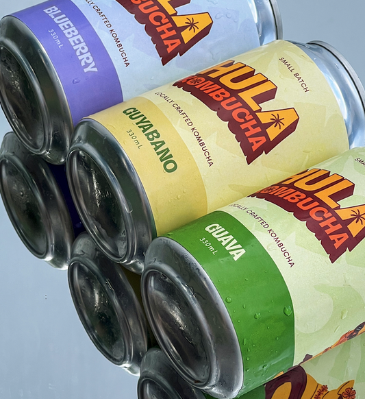 HULA Kombucha 330ml