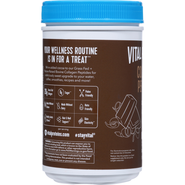 Vital Proteins Chocolate Collagen Peptides 383g
