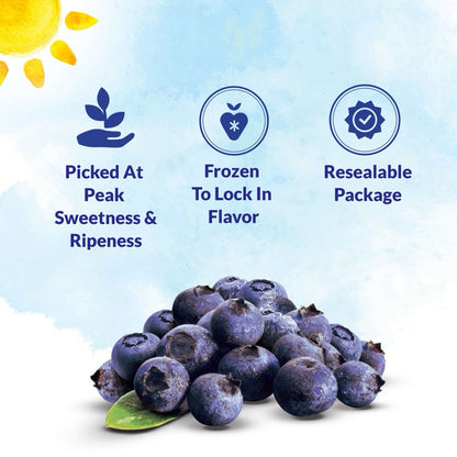 Frozen Blueberries 1kg