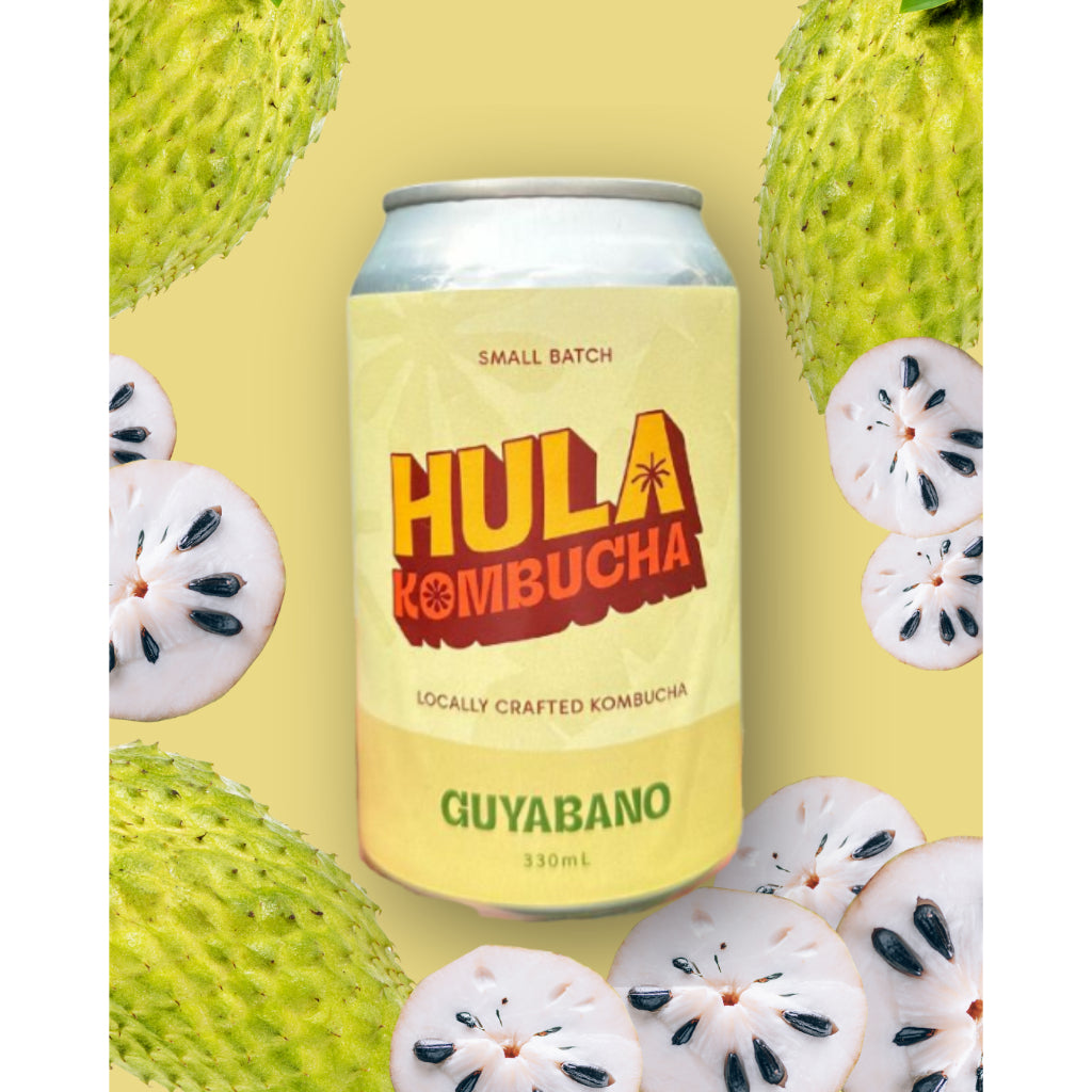 HULA Kombucha 330ml