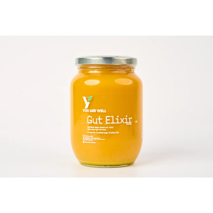 Kim King's Wellness Gut Elixir 500ml