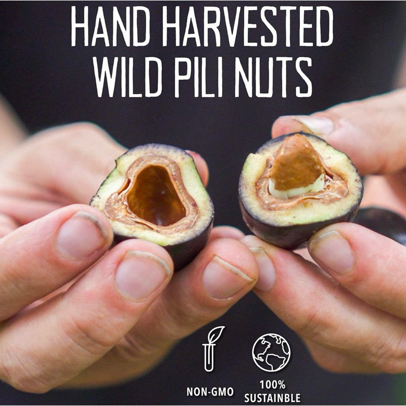 Pili Hunters Sprouted Pili Nuts
