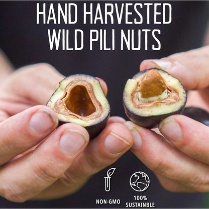 Pili Hunters Sprouted Pili Nuts