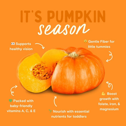 Serenity Kids Grain Free Pumpkin & Cinnamon Puffs 42g