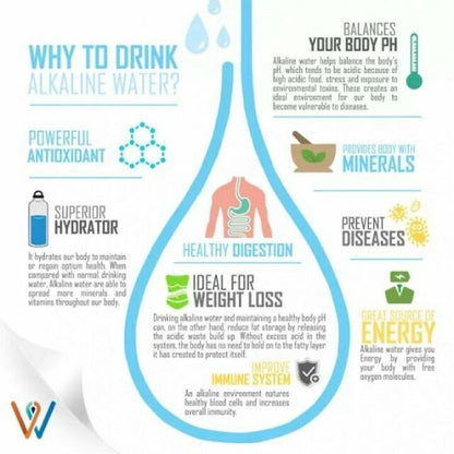 Kirkland Ionized Alkaline Water pH 1.9 1L