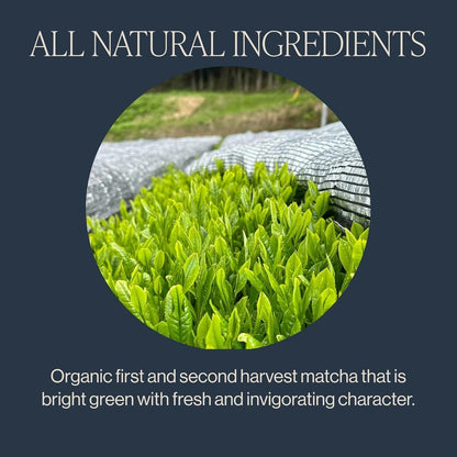 Rishi Tea Organic Everyday Matcha Powder 30g