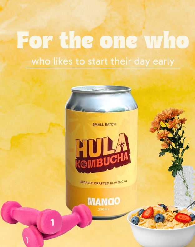 HULA Kombucha 330ml