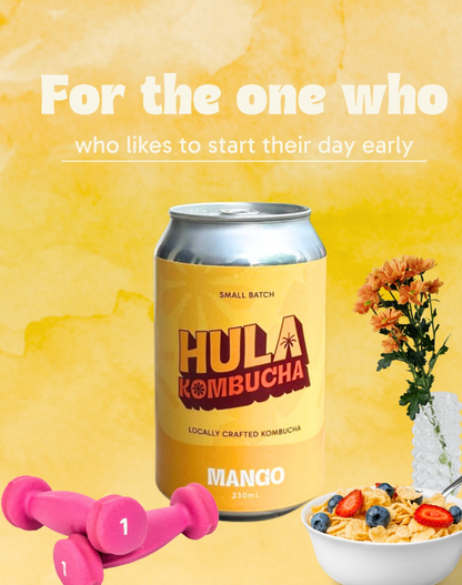 HULA Kombucha 330ml